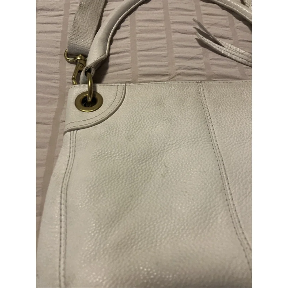 Fossil exterior needs